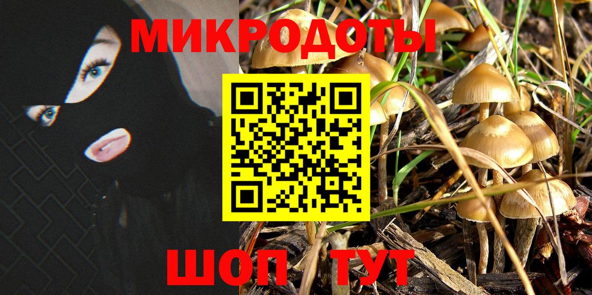 Псилоцибиновые грибы мицелий  Псилоцибиновые грибы мухоморы  Вход с VPN  Красный Сулин 