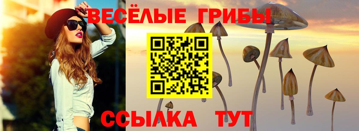 Псилоцибиновые грибы Cubensis Красный Сулин
